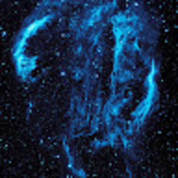 Meet your Posher, Allison - Picture 1 of 1